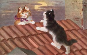 Vykort med katt (färglitografi)
