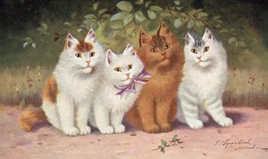 Vykort med katt (färglitografi)