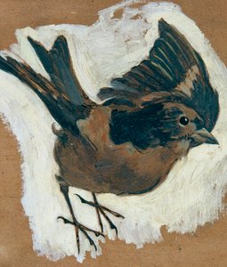 Sperling av Josef Wawra