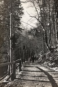 Album "Mitt världskrig - minnen från sydvästra fronten i Kärnten, Italien, Trentino-Alto Adige) 31/03/1915-12/11/ 1918 - Josef Zohles Wien ": soldater på jobbet (s/v foto