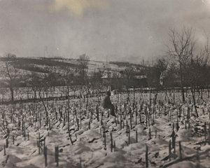 Album "Mitt världskrig - minnen från sydvästra fronten i Kärnten, Italien, Trentino-Alto Adige) 31/03/1915-12/11/1918 - Josef Zohles Wien ": militärkyrkogård (s/v foto av Josef Zohles