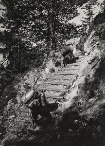 Album "Mitt världskrig - minnen av sydvästra fronten i Kärnten, Italien, Trentino-Alto Adige) 31/03/1915-12/11/1918 - Josef Zohles Wien ": Armémulor längs en brant av av Josef Zohles