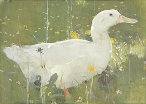 The White Drake (gouache på duk)