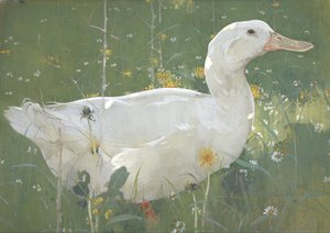 Den vita draken av Joseph Crawhall