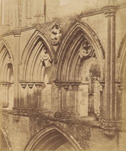 Rievaulx Abbey. Triforiumbågen, 1850