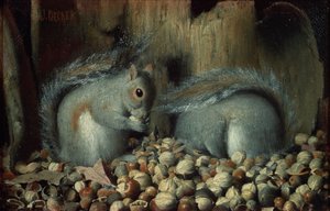 Gluttons (ekorrar)