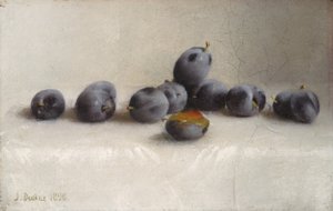 Tolv plommon, 1896