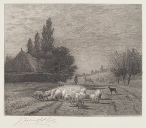 Bygata i Frankrike med en flock får