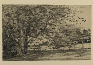 Study of Trees, 1870 (grafit på papper)