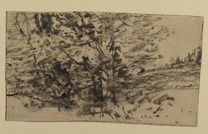 Study of Trees, 1870 (grafit på papper)