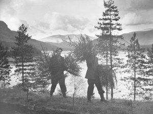 Två unga män bär små julgranar på stranden av Thirlmere av Joseph Hardman