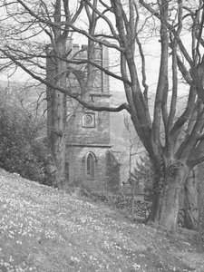 Vy över en kyrka; arkitektur; religiös; kyrklig; torn genom träd
