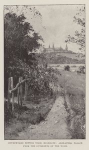 Churchyard Bottom Wood, Highgate, Alexandra Palace från utkanten av skogen av Joseph Holland Tringham