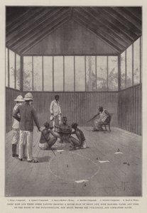 Expeditionen till Benin av Joseph Holland Tringham