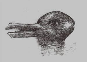 Anka-kanin illusion. Från: Jastrow, J. The mind
