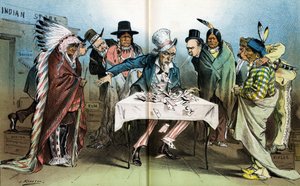 Vår indiska politik, ett korthus, 1881