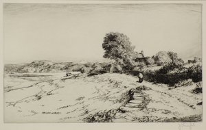 En walesisk mynning av Joseph Knight