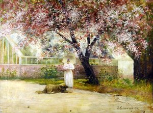 Blomma av Joseph Malachy Kavanagh