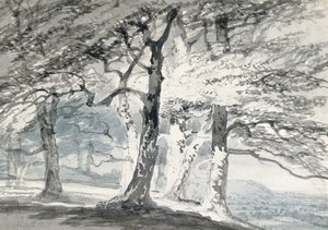 Norbury Park, Surrey (penna och akvarell på papper) av Joseph Mallord William (attr.to) Turner