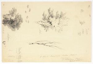 Skisser av almar och askar av Joseph Mallord William Turner