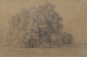 Grupp av björkträd i parken av Seebenstein slott i Nedre Österrike av Joseph Martin Höger