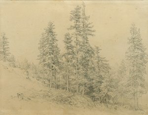 Dyrbar tand av Joseph Martin Höger