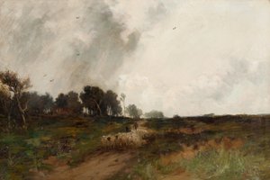 Korsar heden