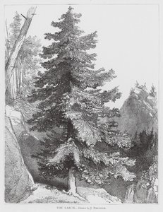 Lärken (litografi)