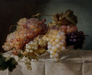 Stilleben med druvor i ett porslinsfat av Joseph Nigg
