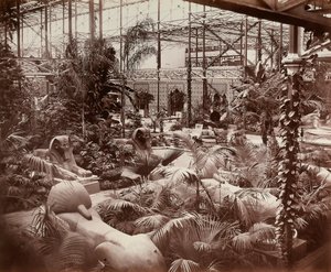 Crystal Palace i London: den tropiska delen, ca 1870 (s/v foto)