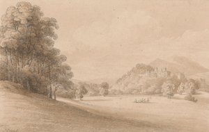 Dunster Castle, Somerset: Visar slottet på avstånd