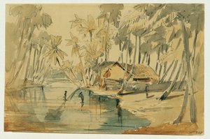 Palmlund på Ceylon (Sri Lanka)