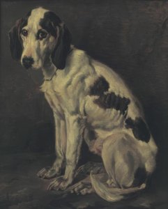Den gamla utmanaren av Joseph Stevens