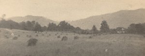 Landskap med träd och berg