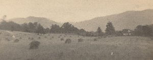Landskap med träd och berg,ca. 1900 (foto)