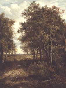 En glänta i skogen