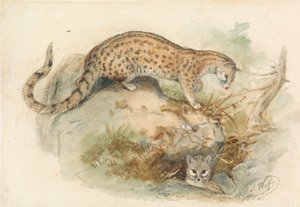 ryttare av Joseph Wolf
