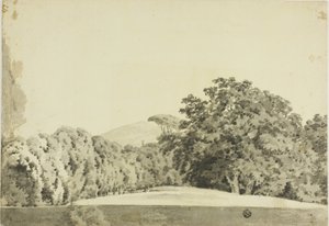 Skogsbeklädd Landskap av Joseph Wright of Derby