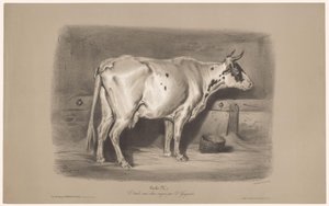 Ko i ett stall Vache (titel på objekt) Djurstudier i två typer av krita (serietitel) Etude aux deux crayons par Z. Gengembre (serietitel på objekt)