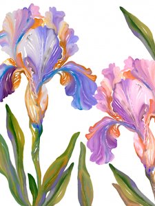 Färgglada irisblommor av Josie George
