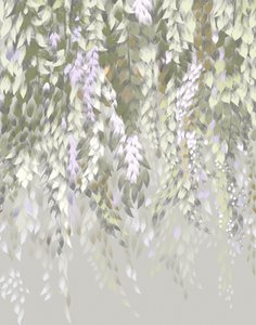 Pastellfärgade blåregnblommor av Josie George