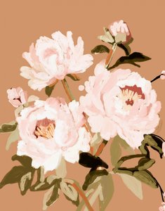 Mjukt rosa pioner av Josie George