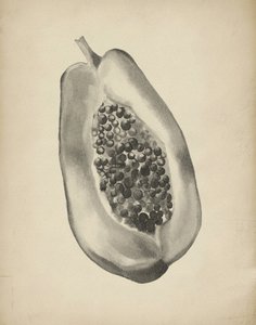 En halv tropisk papaya