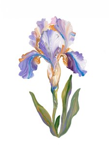 En livfull, målerisk iris av Josie George