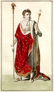 Napoleon Irländare av Josse Photo