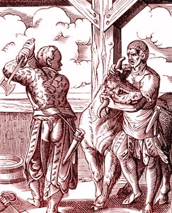 En slaktare - Mat och matlagning under medeltiden. Gravyr av Jost Amman (1539-1591). Gravyr 1878 av Jost (after) Amman