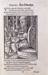 Oil Maker, illustration från den latinska upplagan av "De Omnibus Illiberalibus Sive Mechanics Artibus" med verser av Hans Sachs (1494-1576) pub. 1574 (träsnitt) av Jost Amman
