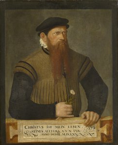 Porträtt av en skäggig man, 1565 av Jost Amman