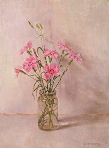 Rosa i en glasburk