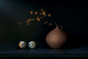 Mörkt stilleben med frukt